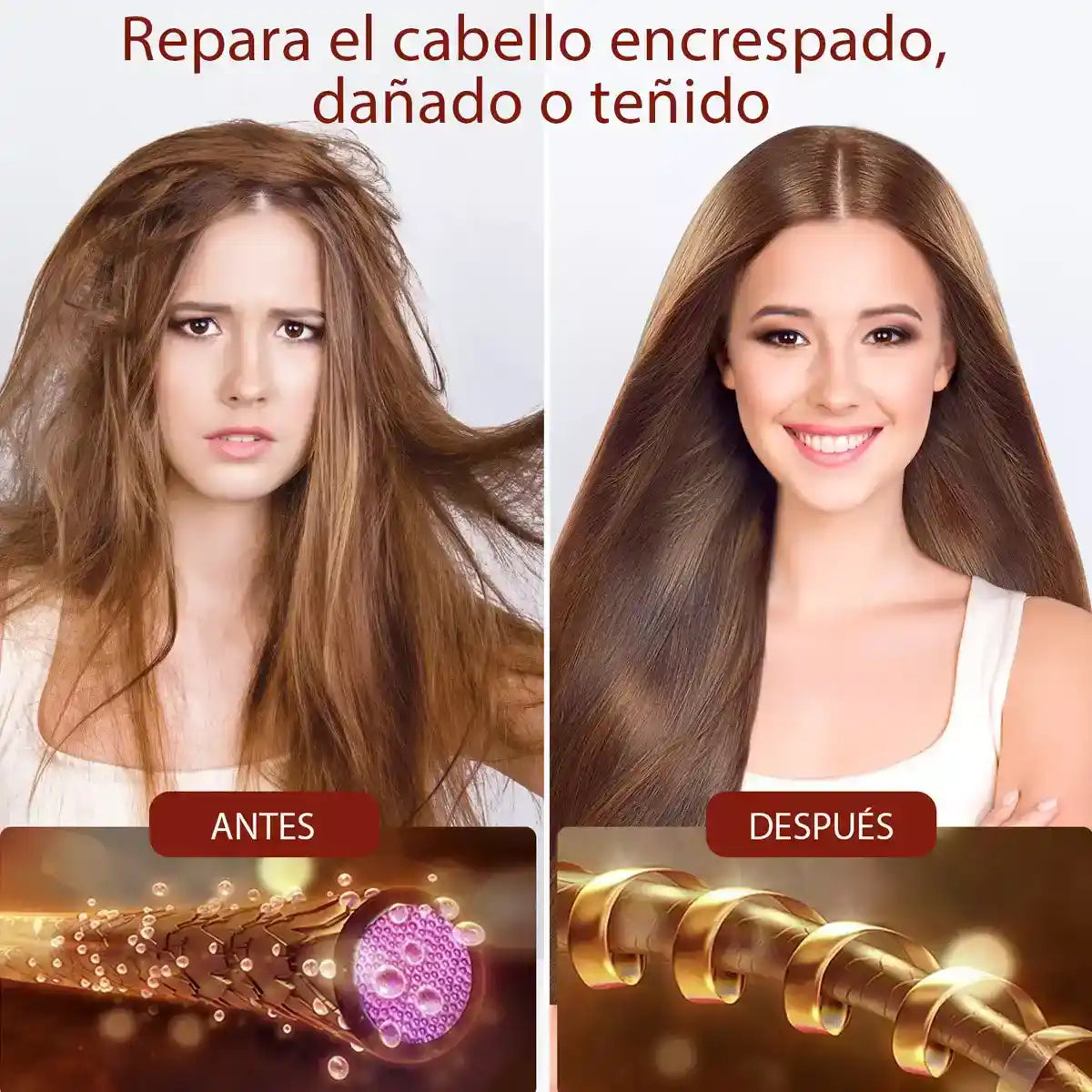 REPARAROOTS