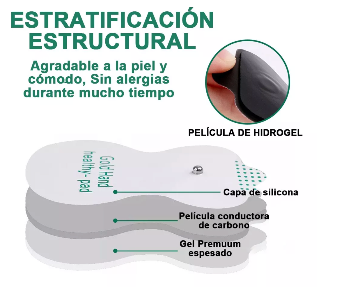 BioPulso - Tu cuerpo, renovado