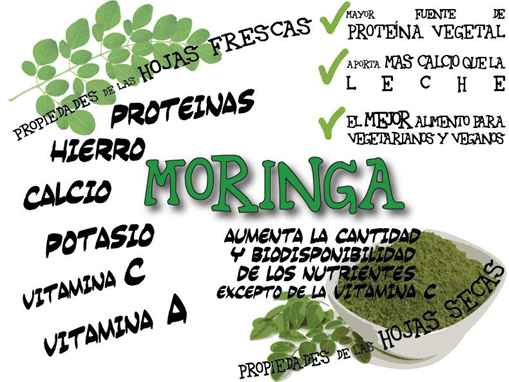 Moringa - Poder Milagroso